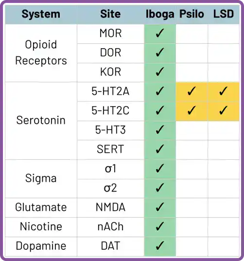 How iboga works on brain receptors compared to other common psychedelics such as psilocybin and LSD.