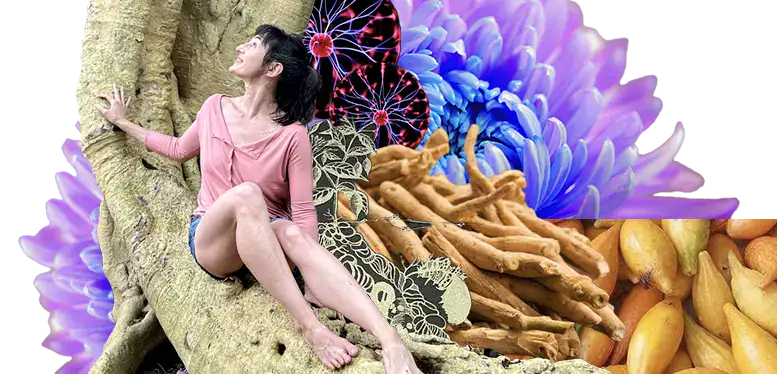 Iboga ibogaine roots collage
