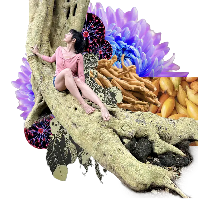 Iboga ibogaine roots collage
